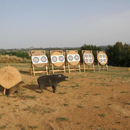 Agriturismo San Martino Ponsacco Zewnętrze zdjęcie